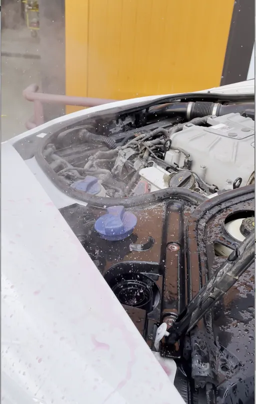 Bogdan’s Porsche Panamera 3.0 TFSI during cooling-system repair · 2